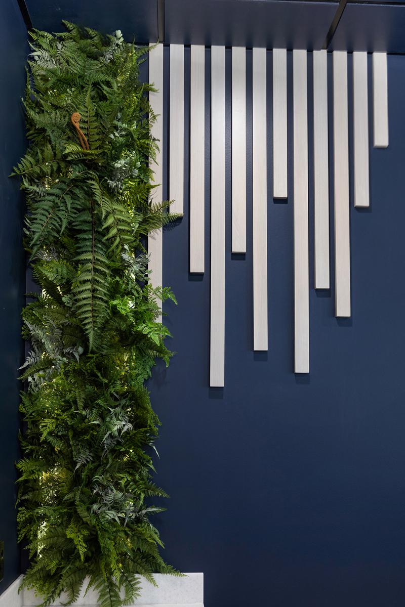 Harmony Oral Facial Surgery | Facial Trauma, Wisdom Teeth Extractions and Sedation